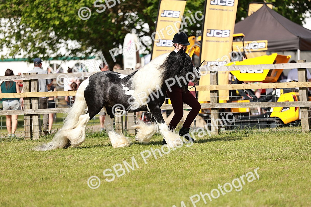 SBM_08770 - Class 63-65 - Traditional Gypsy Cobs In Hand & Ridden