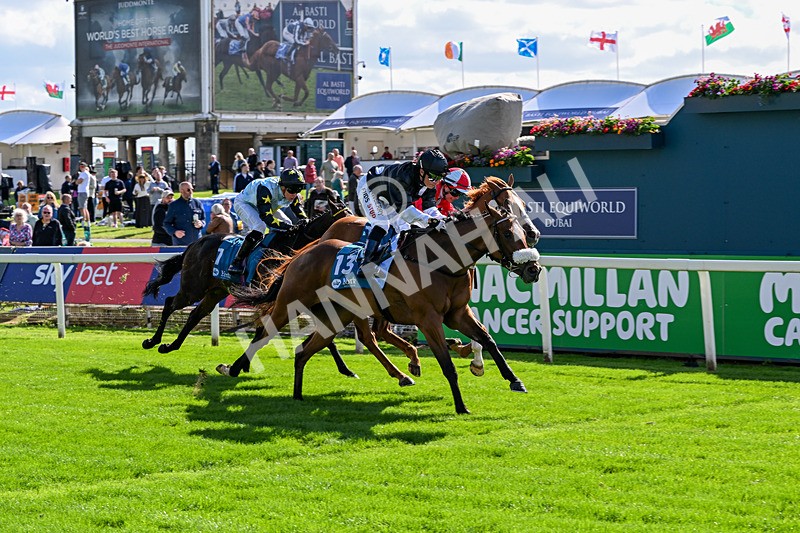 120626-Race 6-Rotokura Belle-8265 - Race 6 16.45pm Dawson Williamson Architects Handicap