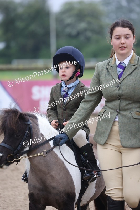 20260504-0092 - Class 9 - Lead Rein Pony
