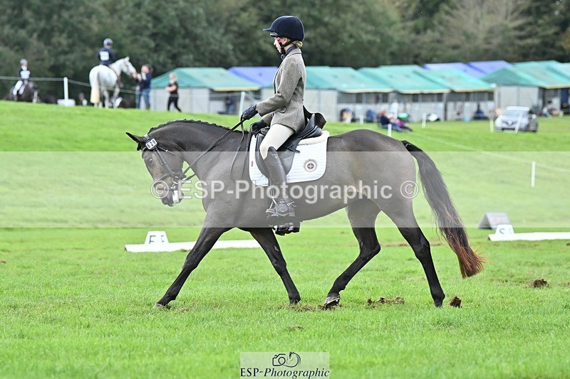 231020-151512-11417 - 629-DP.UK.DUN.SURPRISE-Isla.Kitson-DR