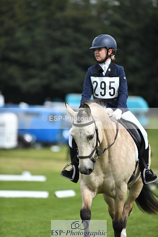 230826-111226-15763 - Sections C & D 10 to End