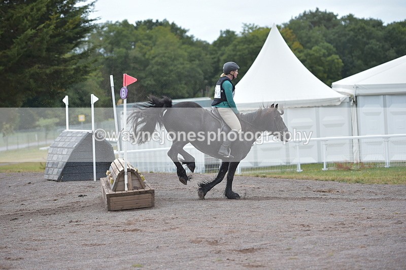 NGP_2832 - XC Time 11:37 to 11:57