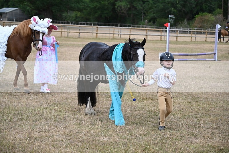 WJ6_8700 - Class 11 Fancy Dress