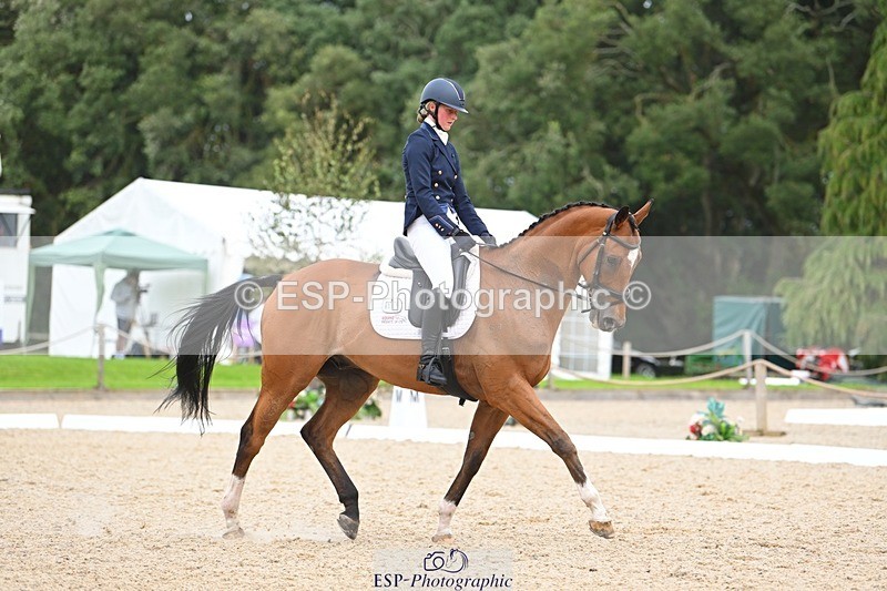 230813-132851-07574 - Cls 13 Medium Bronze 13.15 to End