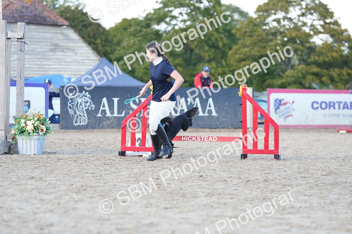 SBM_29063 - J43 - Horse & Hound Open 50cm