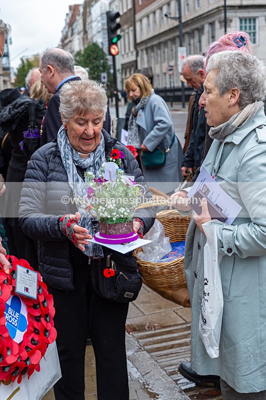 NGP_7065 - Animals In War Memorial - 10-11-23