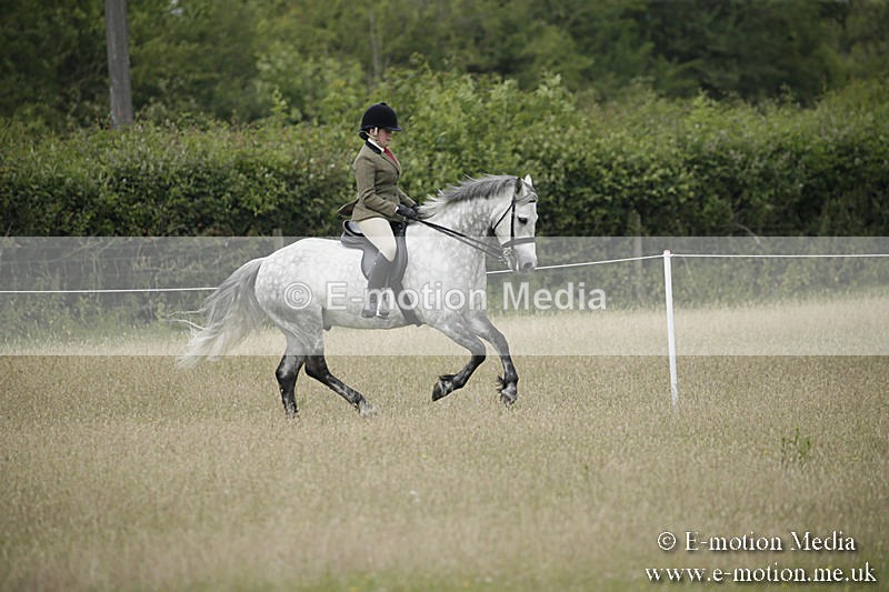 B230619-0489 - Bourne Valley Riding Club Summer Show 23/06/19