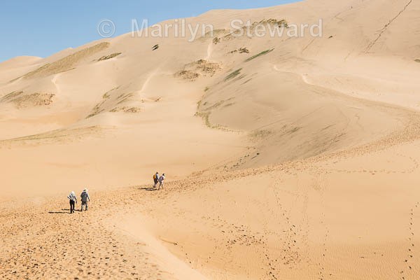 Gobi Gurvan Saikhan - Khongoryn Els - Mongolia