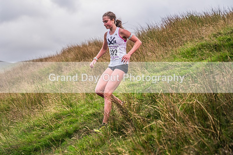 Steel Fell-441 - Steel Fell Race Wednesday 7th August 2024