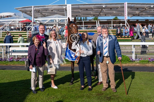 160525-Race 7-Delicacy-6679 - Race 7 5.30pm Yorkshire Equine Practice Handicap