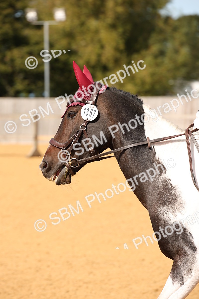 SBM_24107 - D5 - Small Tour Championship - Intro C
