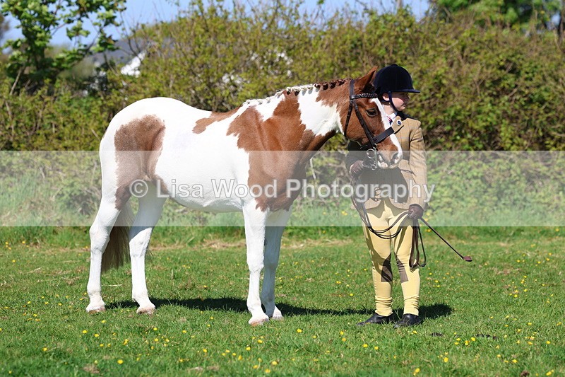 3E7A9850 - Class 17: Young Handler