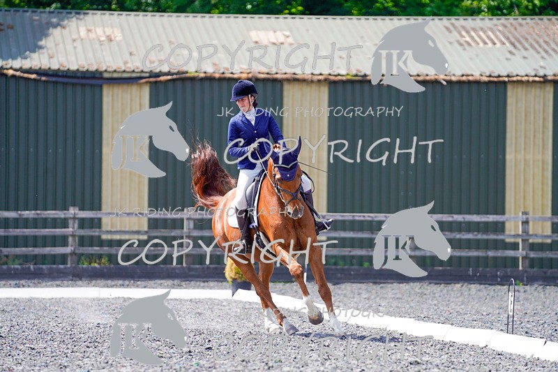 _DSC4016 - ELEM 1