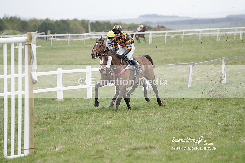 PtP 260323 0828 - New Forest Hounds Point-to-Point Larkhill 26/03/23