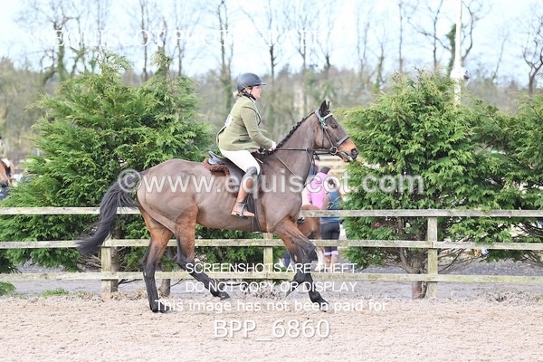 BPP_6860 - RING 1  (RIDDEN HORSES / IN HAND / VETERAN ETC)