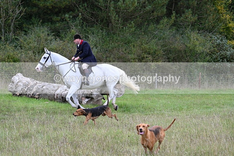 WJ7_3574 - Camera 1 Line 1