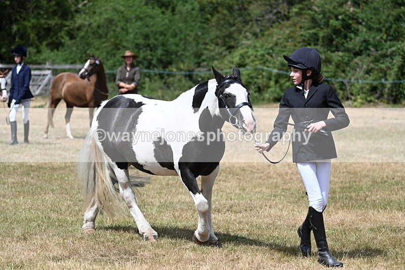 WJ7_1711 - Class 4 Prettiest Mare up to 14.2hh in hand