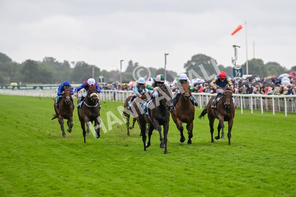 130724-Race 2-Starlust-7059 - Race 2 2.35pm John Smith's City Walls Stakes