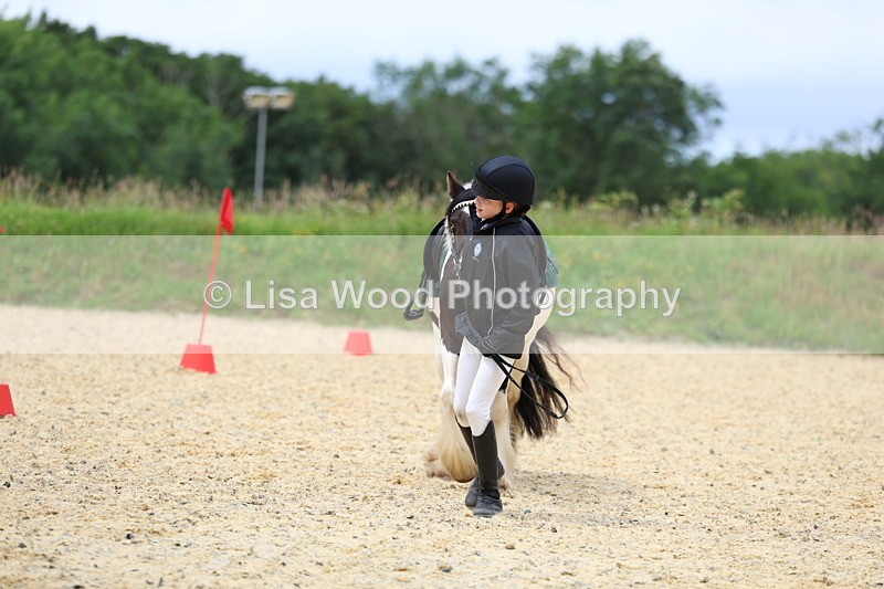 3E7A9650 - Walk trot run