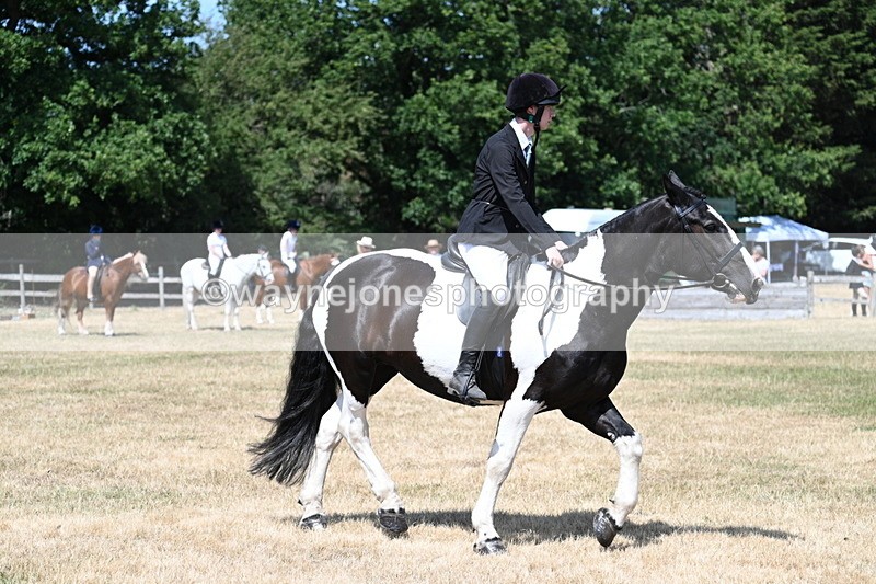 WJ7_3422 - Class 8 Ridden Veterans