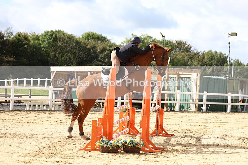 3E7A2108 - Class 4: Senior British Novice/90cm open