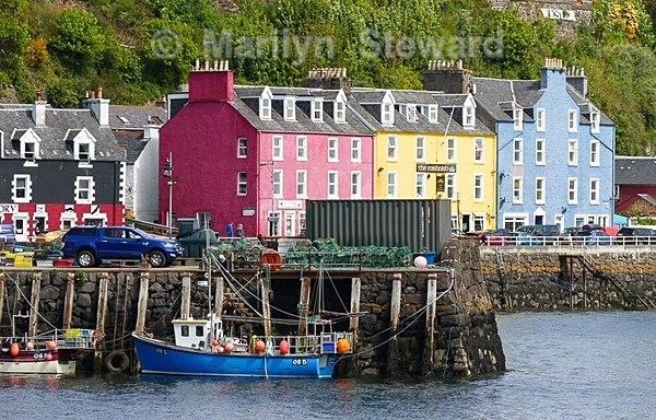 Tobermory on the Isle of Mull-1 - Scotland