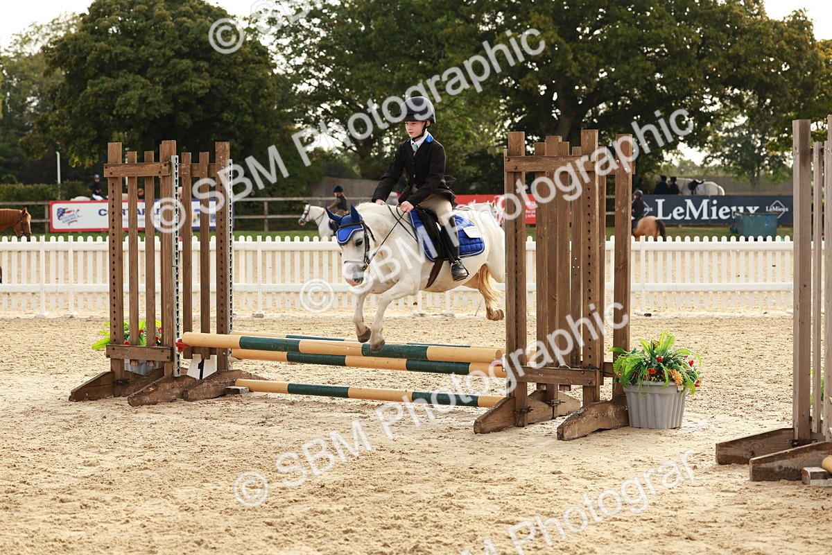 SBM_55730 - J11 - Junior Pony 50cm Championship