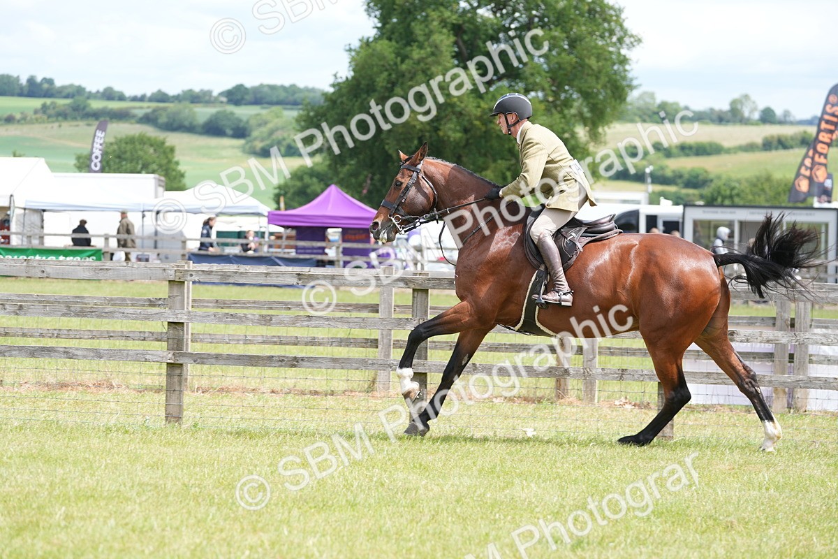 SBM_15021 - Class 100-102 - RIHS Working Hunter