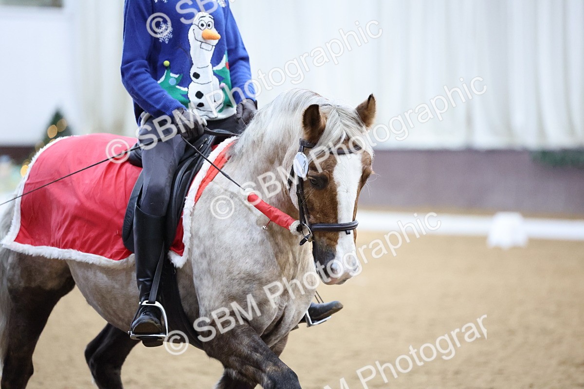 SBM_001890 - Class 5 - Prelim 18