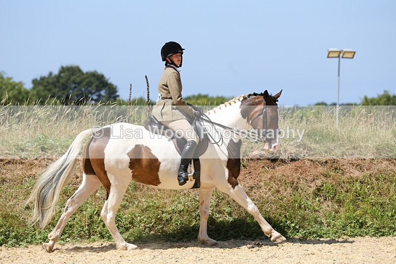 1X9A8825 - Class 19: Riding Club Horse