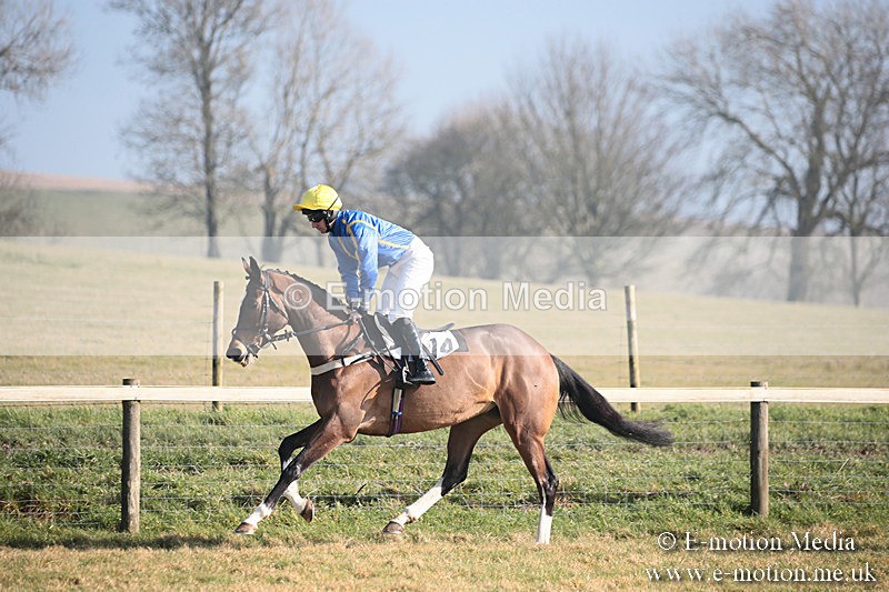PtP 230219 127 - Vine & Craven Point-To-Point - Barbury 23/02/19