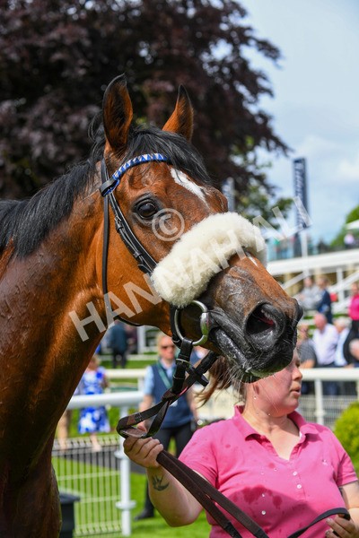170523-Race 2-Bielsa-0344 - Race 2 2.25pm Churchill Tyres Handicap