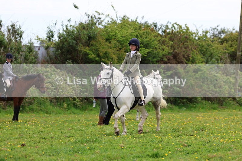 3E7A1551 - Class 8: Ridden Veteran Junoir and Senior