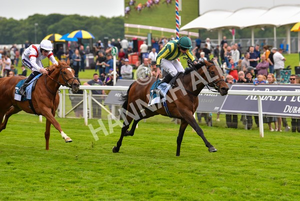 180523-Race 7-Chesspiece-9928 - Race 7 5.20pm Collective Green Energy Handicap
