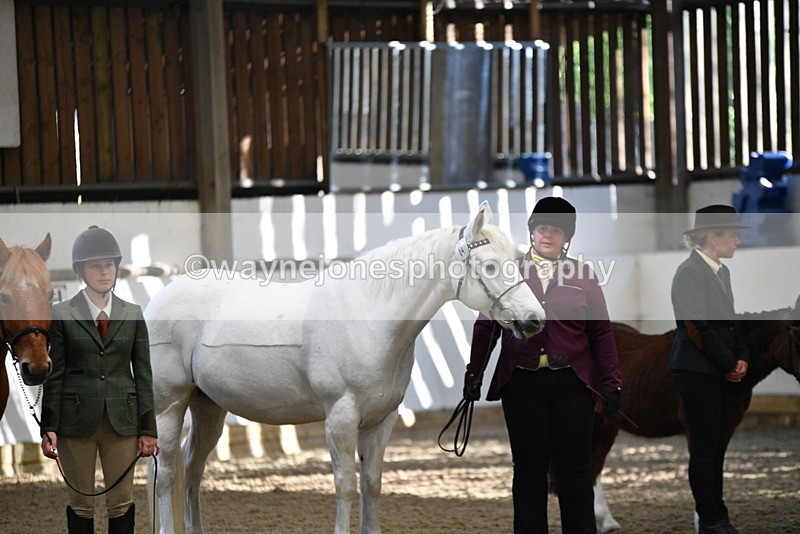 WJ5_3543 - Class 5 In Hand Veterans