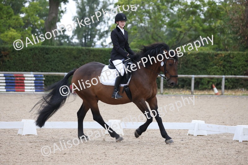 20250820-0346 - Class 11 - My Quest Novice 3