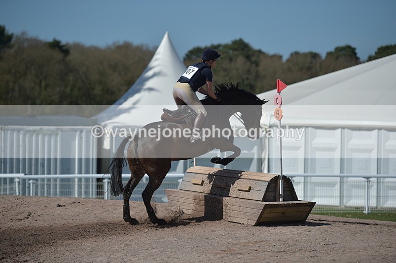 NGP_8181 - XC Time 13:29 to 13:34