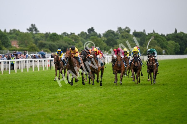 150624-Race 6-Pisanello-7958 - Race 6 4.45pm Ice Co Supporting Macmillan Handicap