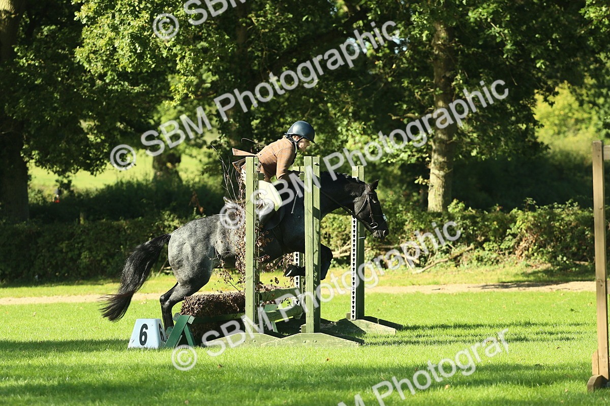 SBM_36465 - S29 - Novice & Newcomers Working Hunter Pony