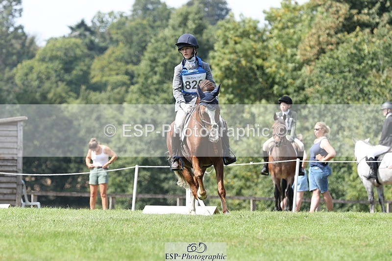 250823A-134340-31366 - Arena D