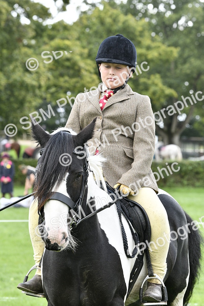 SBM_38268 - S31 - Novice & Newcomer Working Hunter Pony
