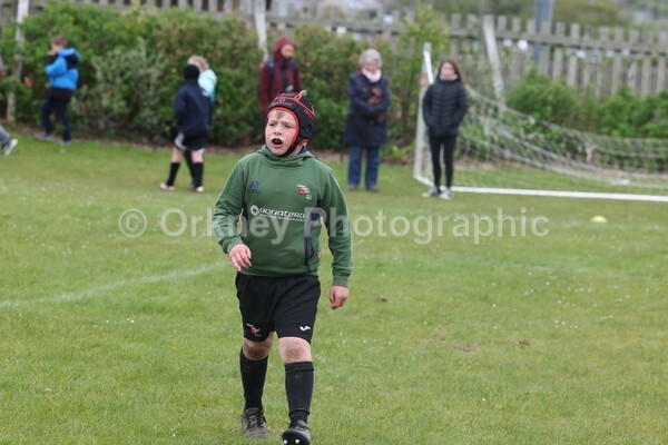 DAD22523 - Rookies/Mini Rugby on 7s Day