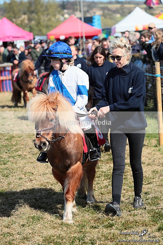Shet 060426 94 - Shetland Pony Racing Paxford Races Easter Mon 06/04/26