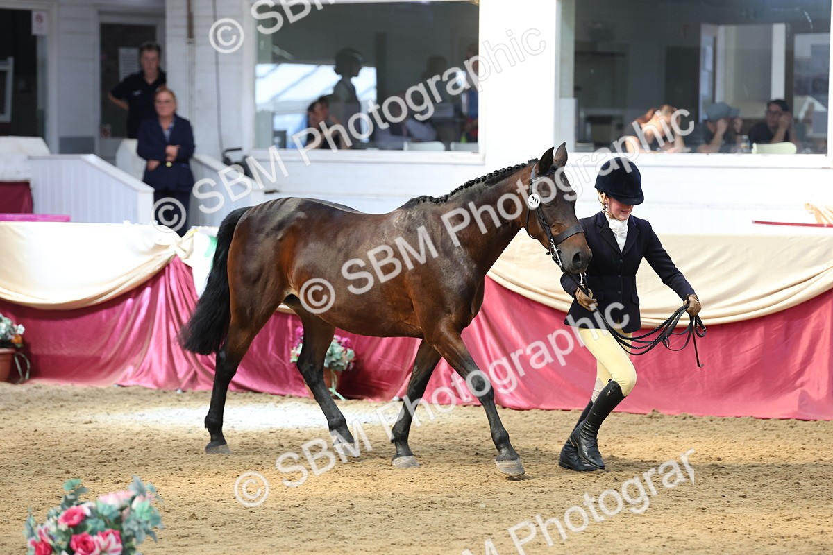 SBM_24156 - Class 905 - Supreme Final - Ridden Veteran