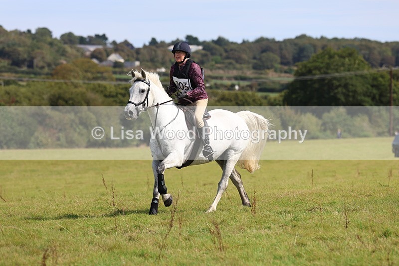 3E7A6768 - Class 2: Trekenning Open: Yellow Boat