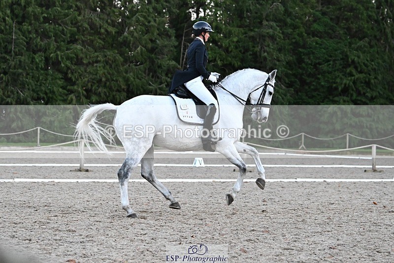 231110-163008-02653 - Cls 14 FEI Grand Prix