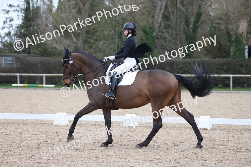 20260301-1099 - Class 11 - Advanced 1