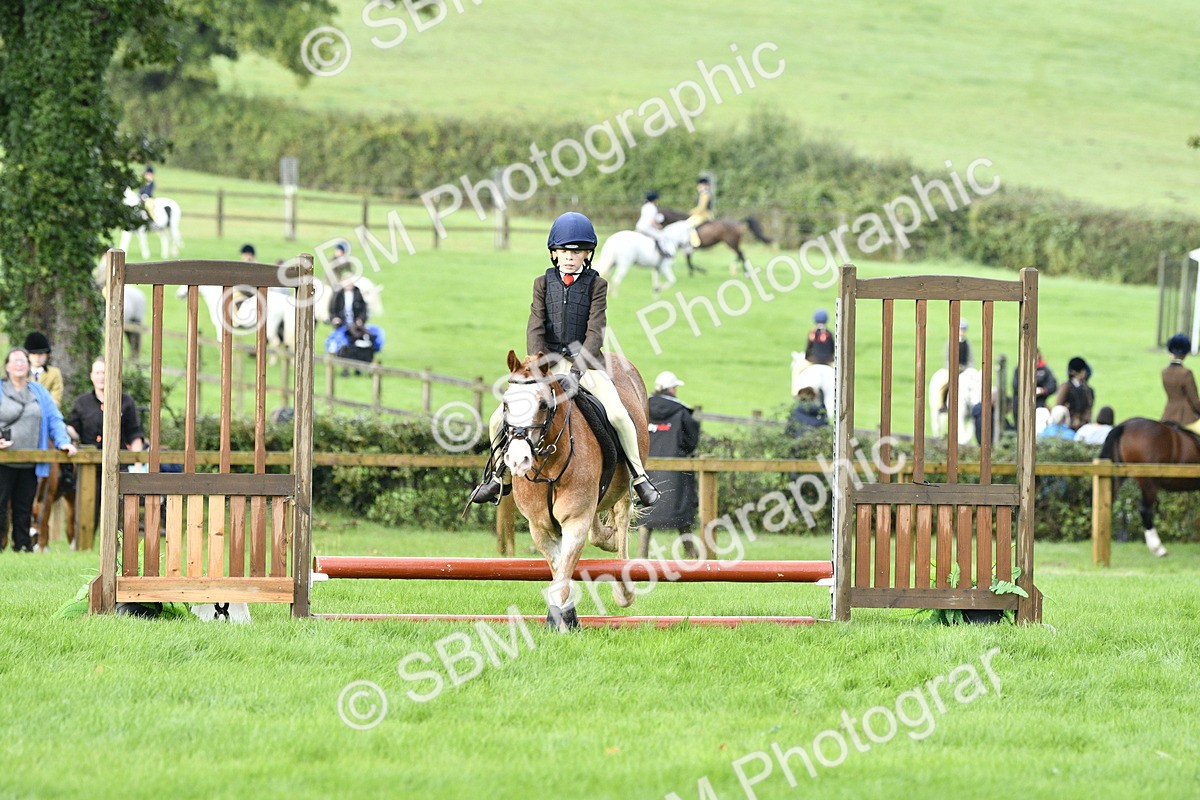 SBM_35411 - S30 - Nursery Stakes Working Hunter Pony