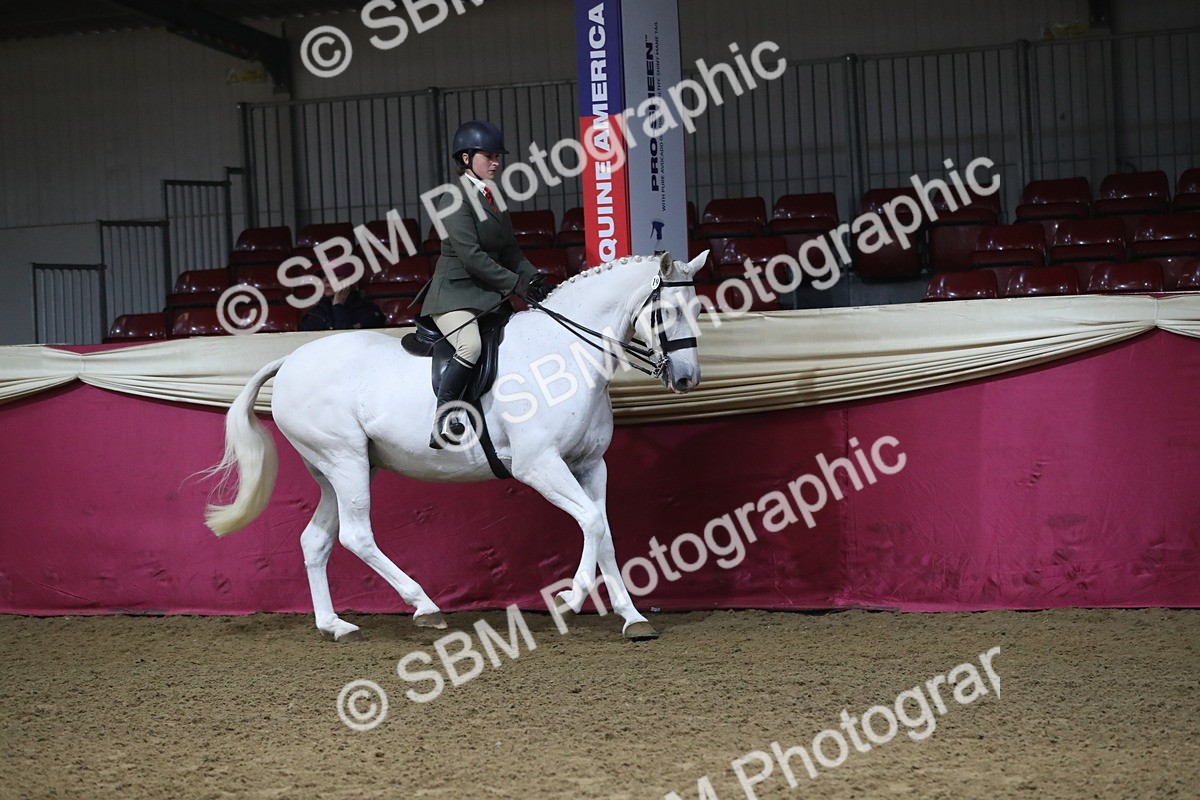 SBM_10351 - Class 102 Equitation (best rider) Adult