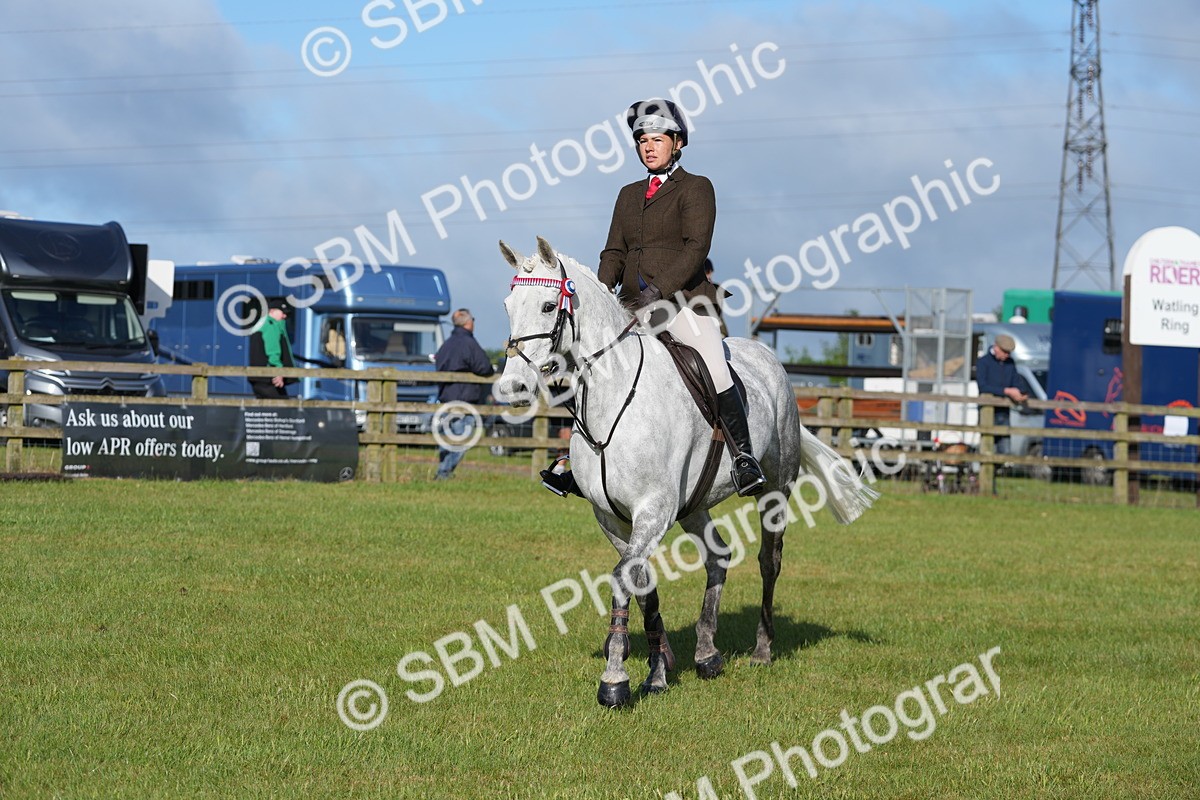 SBM_10486 - Class 97-98 - LIHS BSHA Rising Star Working Show Horse Hunter